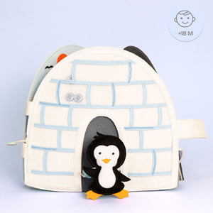 Igloo
