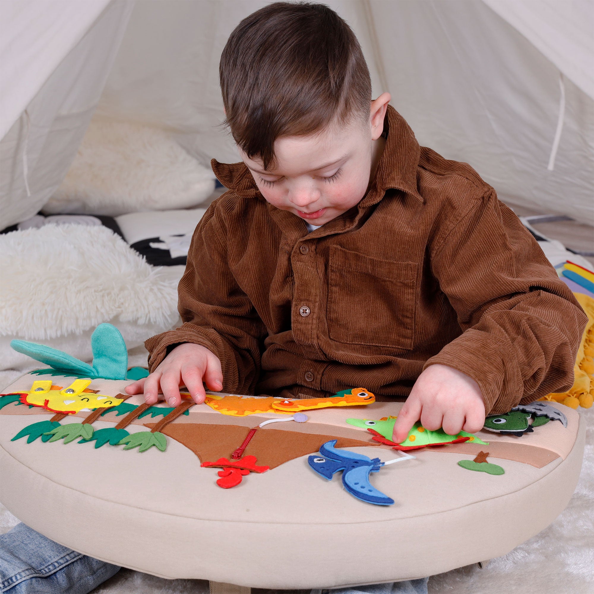 Coussins d’activité Dino