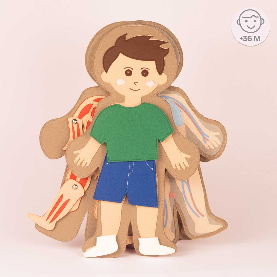 My Body - Boy
